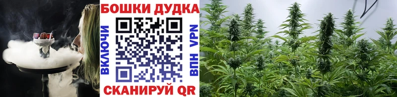 Конопля сатива Купить Кизилюрт